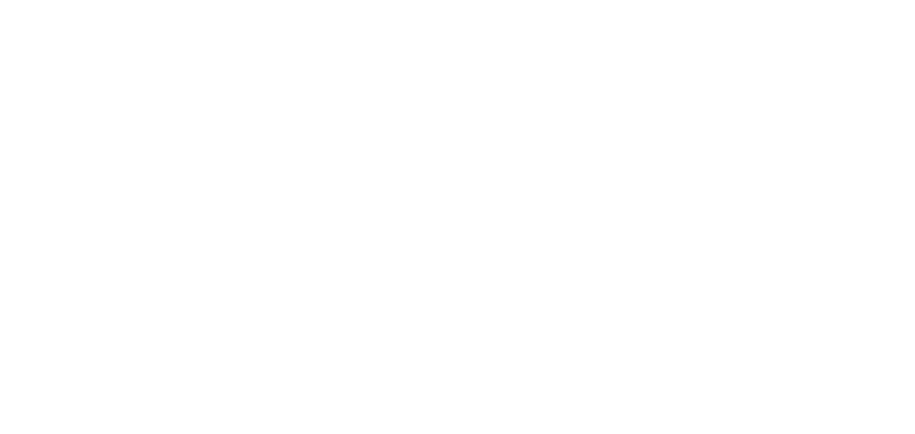 American Apex It